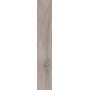 BARKWOOD ASH 20X120 rektifizierte
