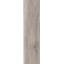 BARKWOOD ASH 30X120 rektifizierte