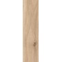 BARKWOOD HONEY 30X120 rektifizierte