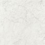 IMPRONTA ITALGRANITI LUX EXPERIENCE STATUARIETTO LAPPATO 60X60 SP 9