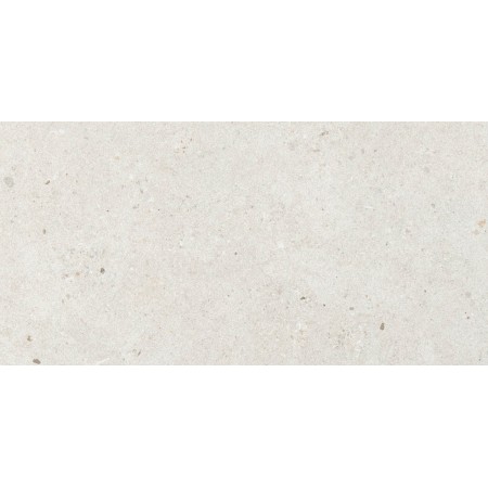 IMPRONTA ITALGRANITI SILVER GRAIN WHITE NAT 60X120