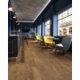 ATLAS CONCORDE HEARTWOOD BRANDY 20X120 RETT