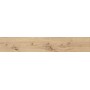 ATLAS CONCORDE EXENCE VANILLA 20X120 RETT