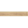 ATLAS CONCORDE EXENCE VANILLA 20X120 RETT