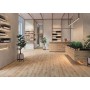 ATLAS CONCORDE EXENCE VANILLA 20X120 RETT