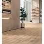 ATLAS CONCORDE EXENCE VANILLA 20X120 RETT