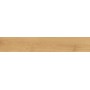 EXENCE ALMOND 20X120 rektifizierte