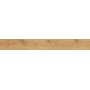 EXENCE ALMOND 18,5X150 rektifizierte