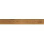 EXENCE AMBER 18,5X150 rektifizierte