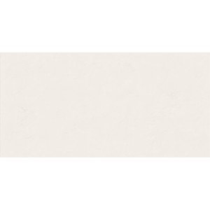 ABK WIDE & STYLE MINI SNOW 60X120 RETTIFICATO