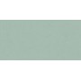 ABK WIDE & STYLE MINI MINT 60X120 RETTIFICATO