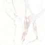 CAESAR ANIMA CALACATTA ORO LUCIDATO 120X120 RETTIFICATO