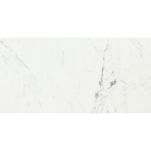 CAESAR ANIMA STATUARIO VENATO MATT 60X120 RETTIFICATO