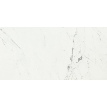 CAESAR ANIMA STATUARIO VENATO MATT 60X120 RETTIFICATO