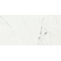 CAESAR ANIMA STATUARIO VENATO MATT 60X120 RETTIFICATO