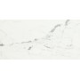 CAESAR ANIMA STATUARIO VENATO MATT 60X120 RETTIFICATO