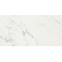 CAESAR ANIMA STATUARIO VENATO MATT 60X120 RETTIFICATO