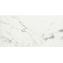 CAESAR ANIMA STATUARIO VENATO MATT 60X120 RETTIFICATO