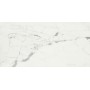 CAESAR ANIMA STATUARIO VENATO MATT 60X120 RETTIFICATO