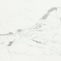 CAESAR ANIMA STATUARIO VENATO LUCIDATO 60X60 RETTIFICATO