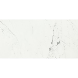 CAESAR ANIMA STATUARIO VENATO MATT 30X60 RETTIFICATO