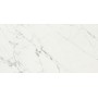 CAESAR ANIMA STATUARIO VENATO MATT 30X60 RETTIFICATO