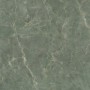 CAESAR ANIMA EVER SAGE GREEN LUCIDATO 120X120 RETTIFICATO