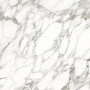CAESAR ANIMA EVER LUXURY ARABESQUE LUCIDATO 120X120 RETTIFICATO
