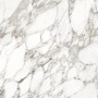 CAESAR ANIMA EVER LUXURY ARABESQUE LUCIDATO 120X120 RETTIFICATO