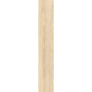 CAESAR FABULA ROBUR MATT 20X120 RETTIFICATO