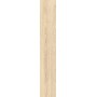 CAESAR FABULA ROBUR MATT 20X120 RETTIFICATO