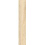CAESAR FABULA ROBUR MATT 20X120 RETTIFICATO