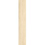 CAESAR FABULA ROBUR MATT 20X120 RETTIFICATO