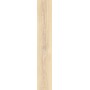 CAESAR FABULA ROBUR MATT 20X120 RETTIFICATO