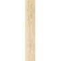 CAESAR FABULA ROBUR MATT 20X120 RETTIFICATO