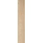 CAESAR FABULA ULMUS MATT 20X120 RETTIFICATO