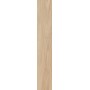CAESAR FABULA ULMUS MATT 20X120 RETTIFICATO