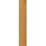 CAESAR FABULA THECA MATT 20X120 RETTIFICATO