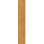 CAESAR FABULA THECA MATT 20X120 RETTIFICATO