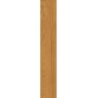CAESAR FABULA THECA MATT 20X120 RETTIFICATO