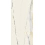 REX CERAMICHE I CLASSICI CALACATTA GOLD GLOSSY 60x120 6mm
