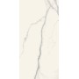 REX CERAMICHE I CLASSICI STATUARIO SOFT 60X120 RETTIFICATO 6mm