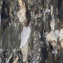 REX CERAMICHE LES BIJOUX LES QUATRE SAISONS GLOSSY 120X120 RETTIFICATO 6mm