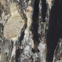 REX CERAMICHE LES BIJOUX LES QUATRE SAISONS GLOSSY 120X120 RETTIFICATO 6mm