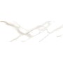 FAP CERAMICHE ROMA 25 CALACATTA MATT 25X75