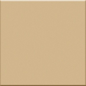 VOGUE IN BEIGE 20X20 (OPACA)