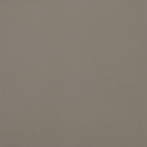 CASALGRANDE PADANA Unicolore Grigio Cenere 20x20 8mm