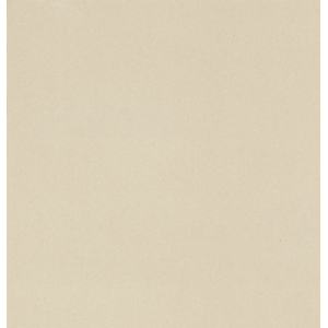CASALGRANDE PADANA Unicolore Bianco B 12mm 20x20