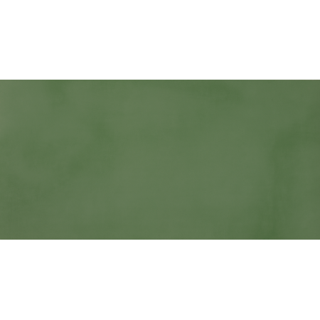 CASALGRANDE PADANA R-evolution Green R10 60x120 10mm