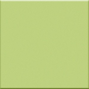 VOGUE INTERNI 20X20 IN PISTACCHIO (OPACA)